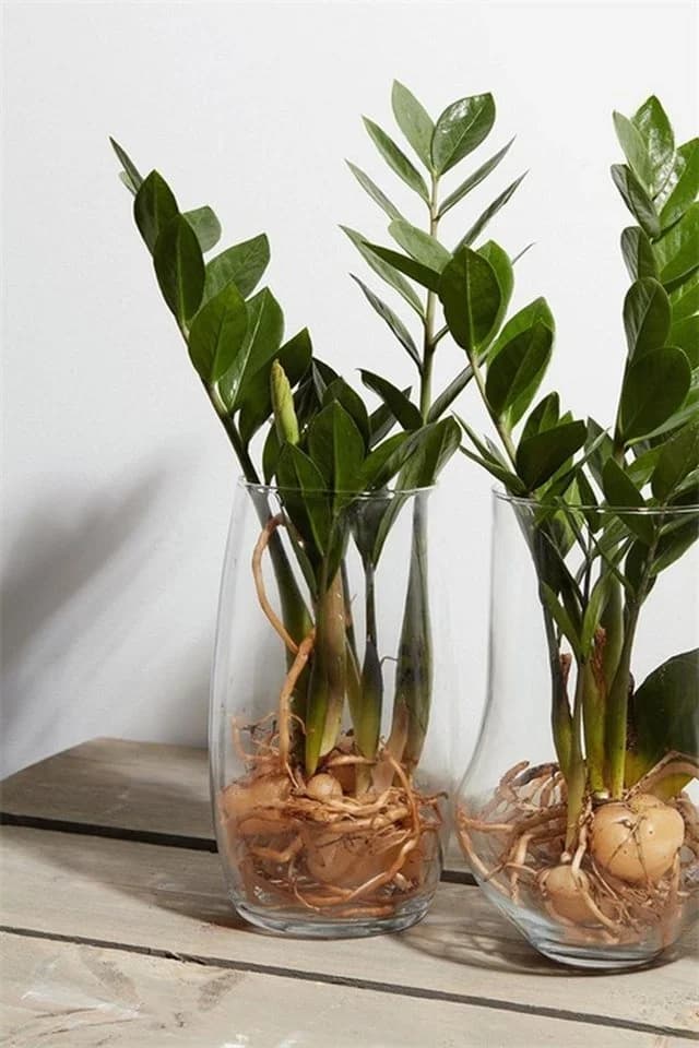 INNA-Glas Tischvase Henry Rund Glas Klar 25cm