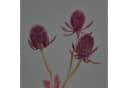 artplants Kunstzweig Edeldistel Loukas Burgunderrot 45cm Bild 1