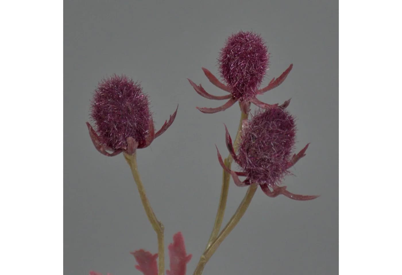 artplants Kunstzweig Edeldistel Loukas Burgunderrot 45cm
