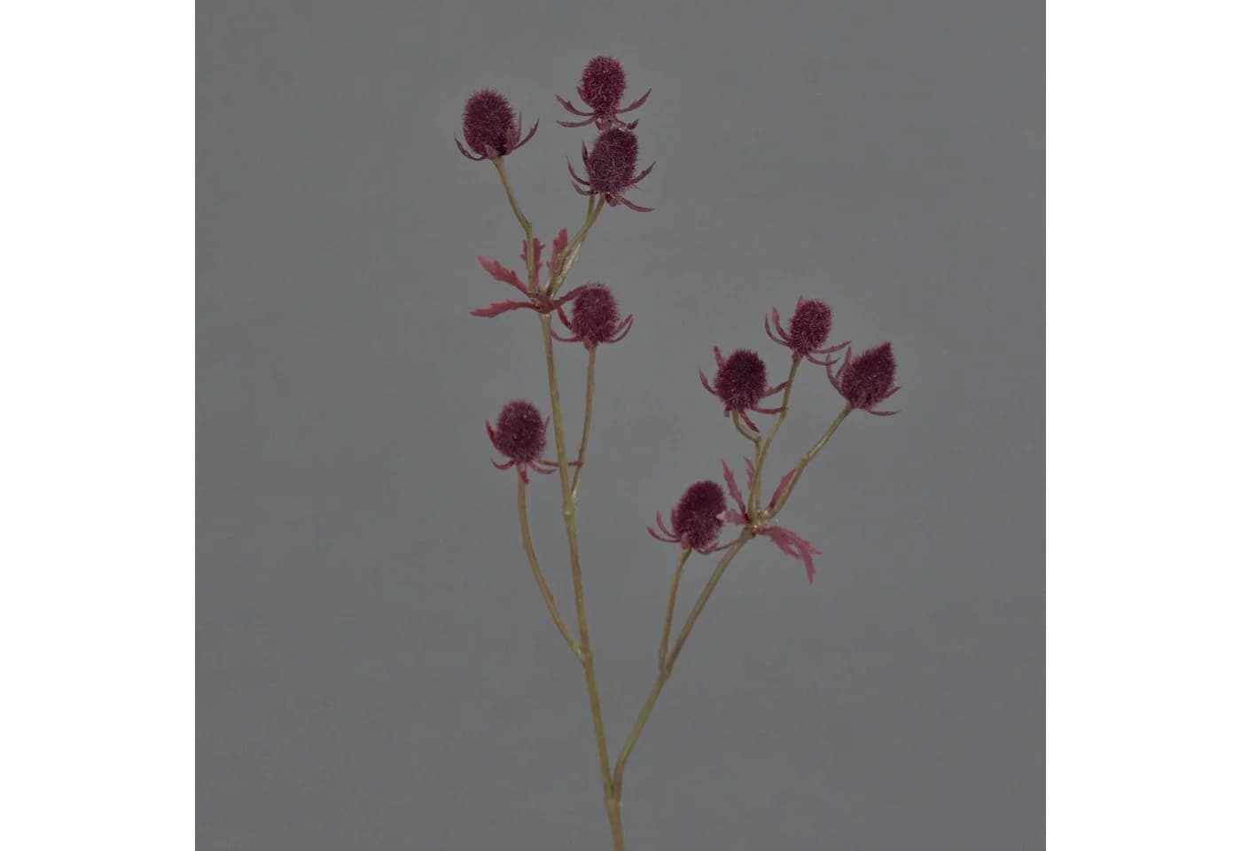 artplants Kunstzweig Edeldistel Loukas Burgunderrot 45cm - Bild 2