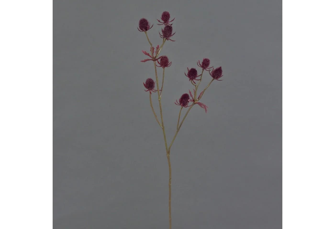 artplants Kunstzweig Edeldistel Loukas Burgunderrot 45cm - Bild 4