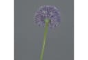 artplants Kunstblume Allium BAILIN Lila 45 cm Bild 3