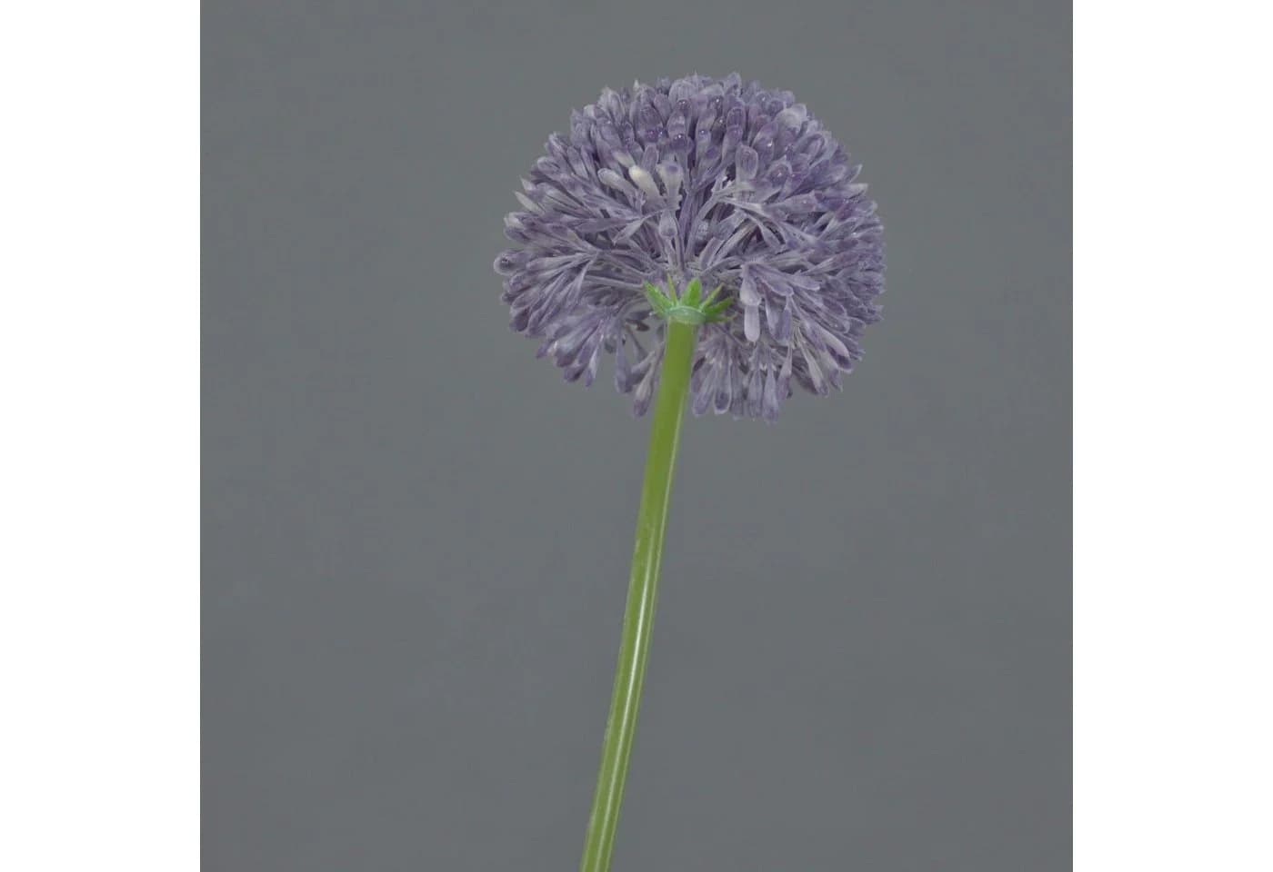 artplants Kunstblume Allium BAILIN Lila 45 cm - Bild 3