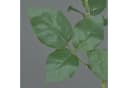 artplants Kunstrose Kailin Schwarz 65 cm Bild 3
