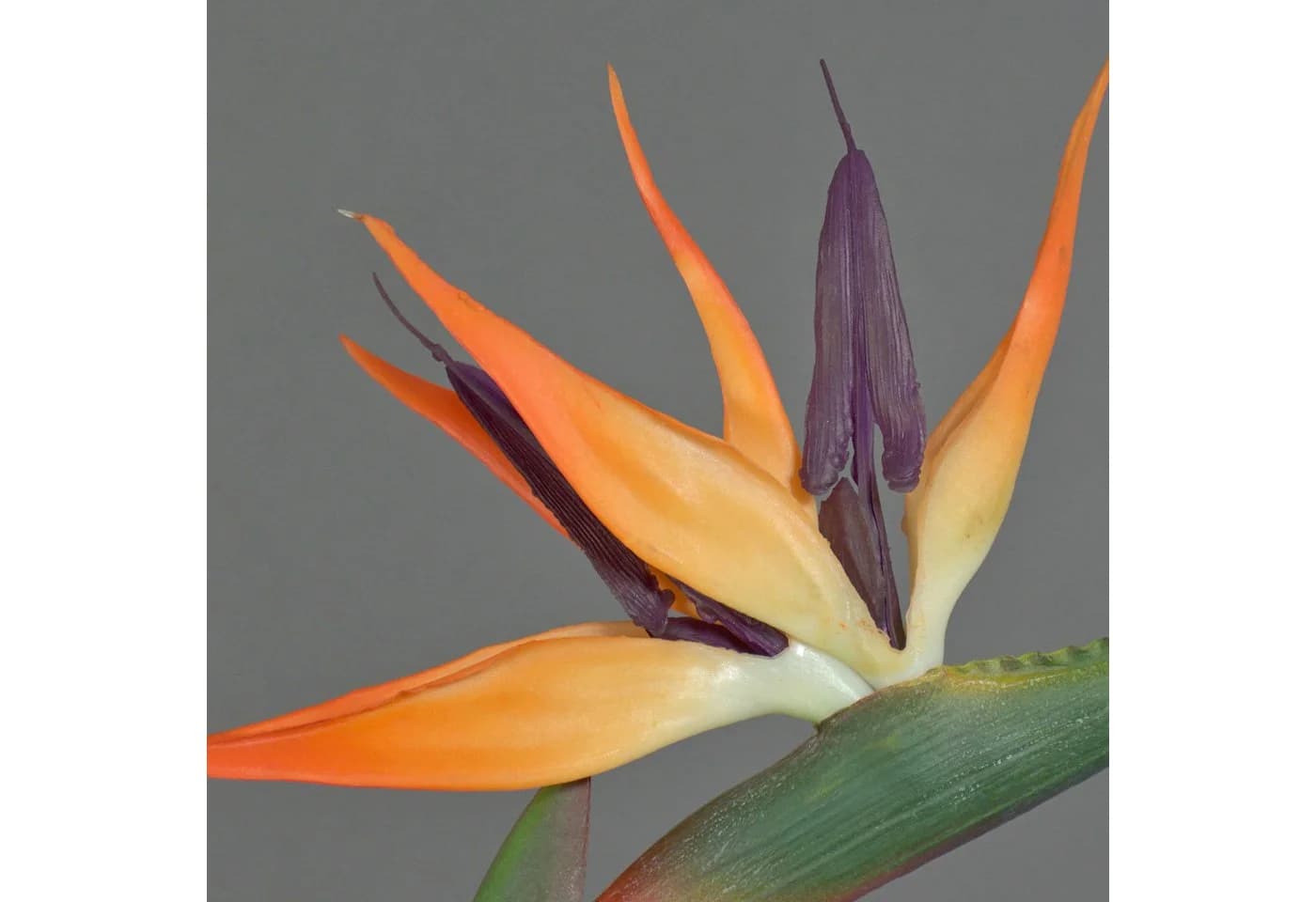 artplants Kunstblume Strelitzie DONGLIN Orange-Violett 85 cm