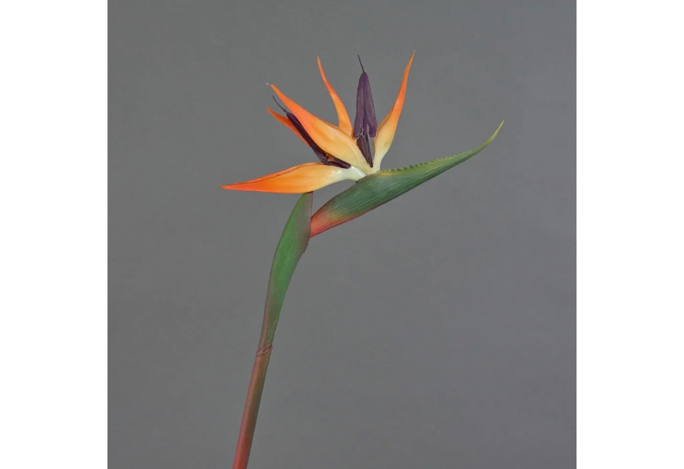 artplants Kunstblume Strelitzie DONGLIN Orange-Violett 85 cm - Bild 2