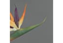 artplants Kunstblume Strelitzie DONGLIN Orange-Violett 85 cm Bild 3
