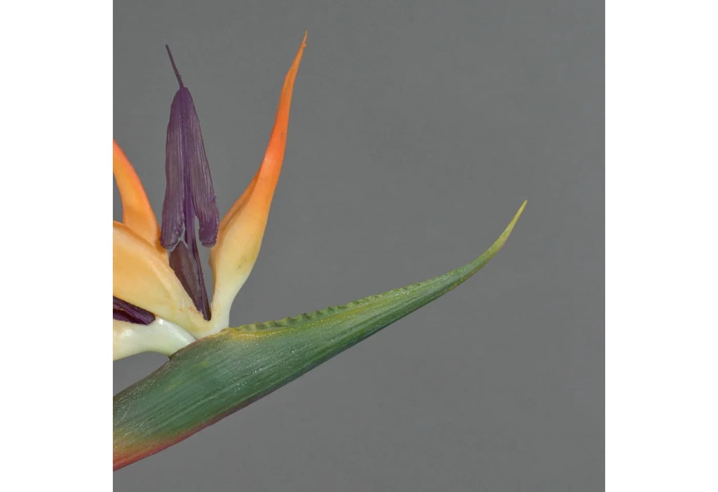 artplants Kunstblume Strelitzie DONGLIN Orange-Violett 85 cm - Bild 3