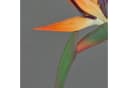 artplants Kunstblume Strelitzie DONGLIN Orange-Violett 85 cm Bild 4