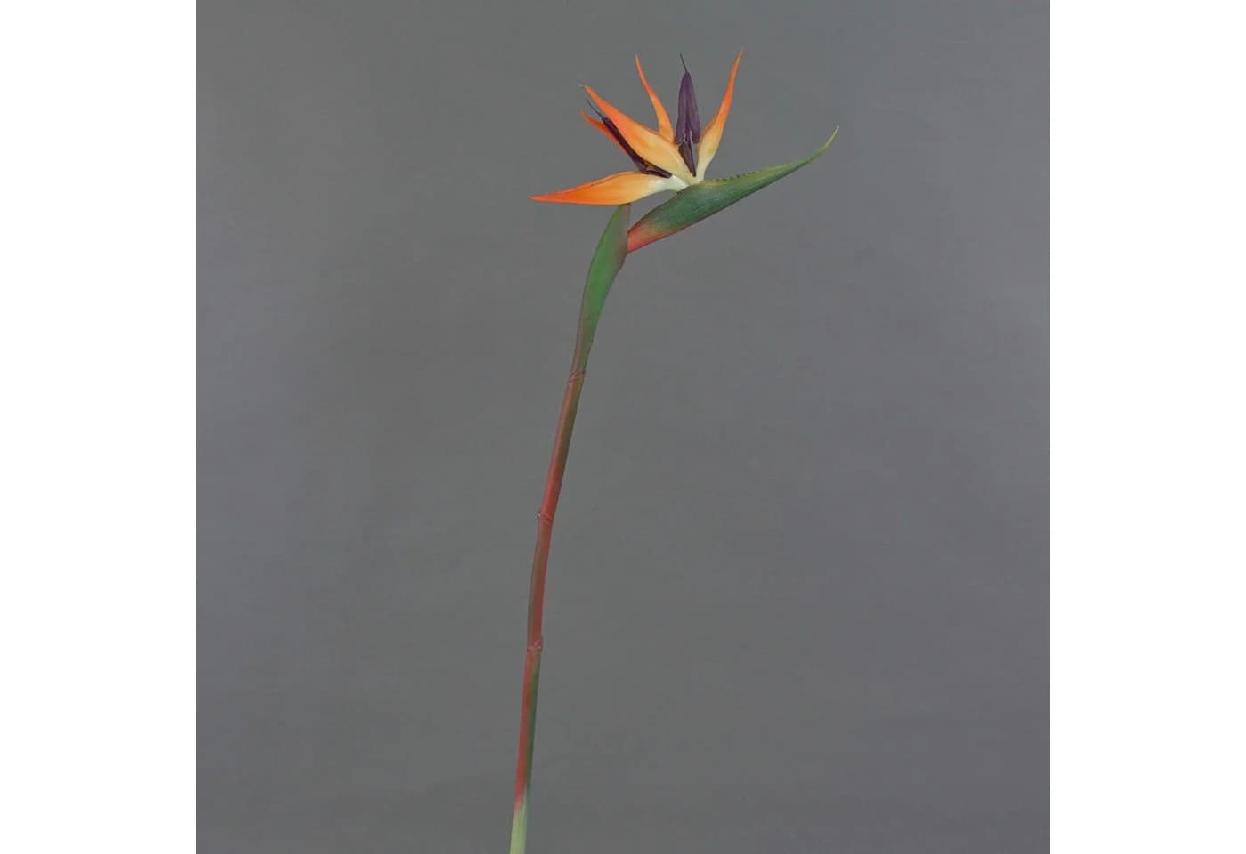 artplants Kunstblume Strelitzie DONGLIN Orange-Violett 85 cm - Bild 5