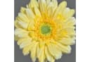 Kunstblume Gerbera Gelb 50 cm von artplants Bild 1