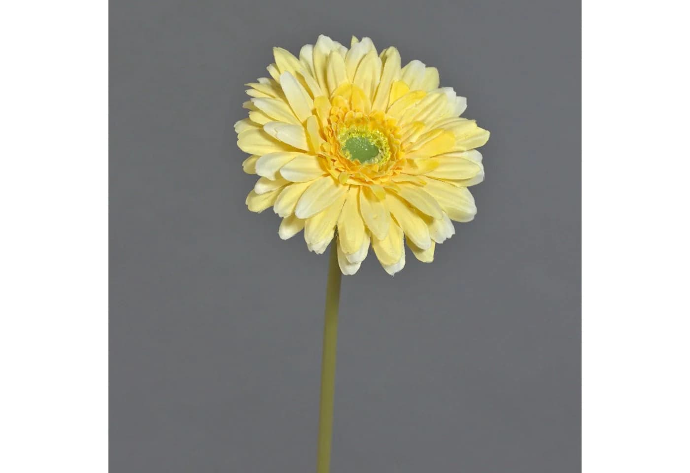 Kunstblume Gerbera Gelb 50 cm von artplants - Bild 2