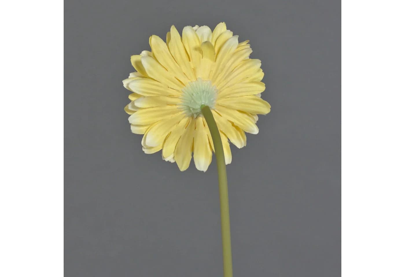 Kunstblume Gerbera Gelb 50 cm von artplants - Bild 3