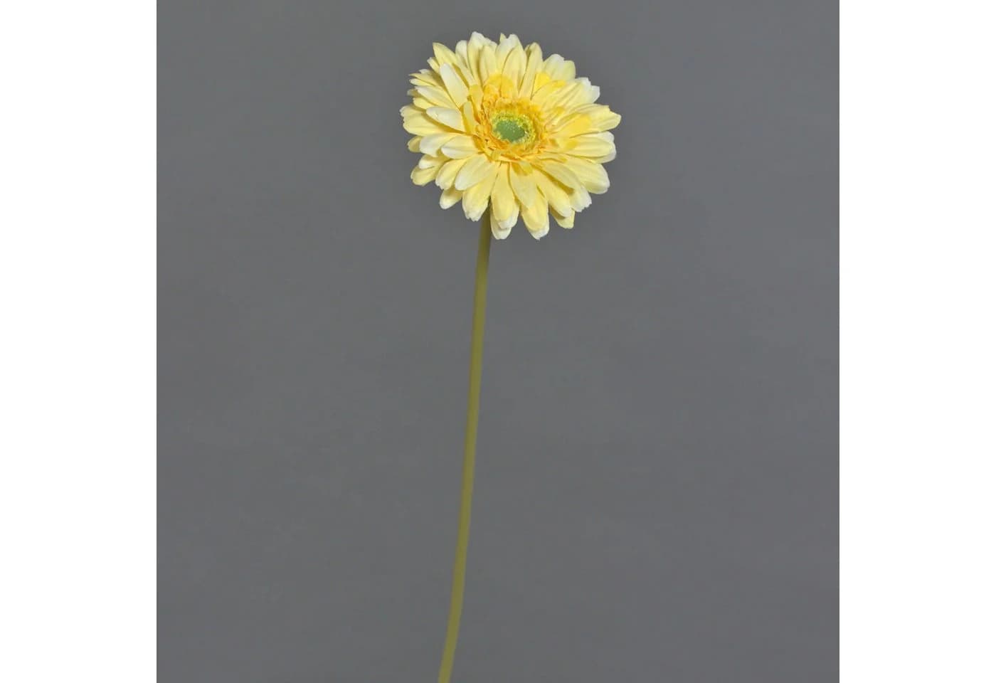 Kunstblume Gerbera Gelb 50 cm von artplants - Bild 4