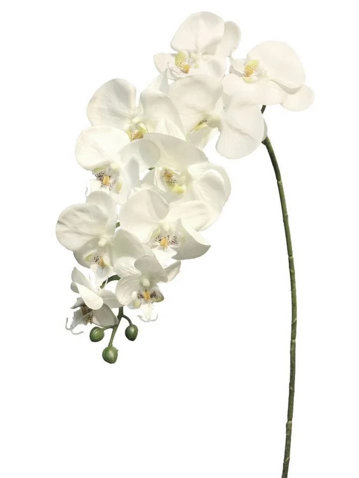 artplants Kunstorchidee Phalaenopsis Dekozweig Weiß 100 cm