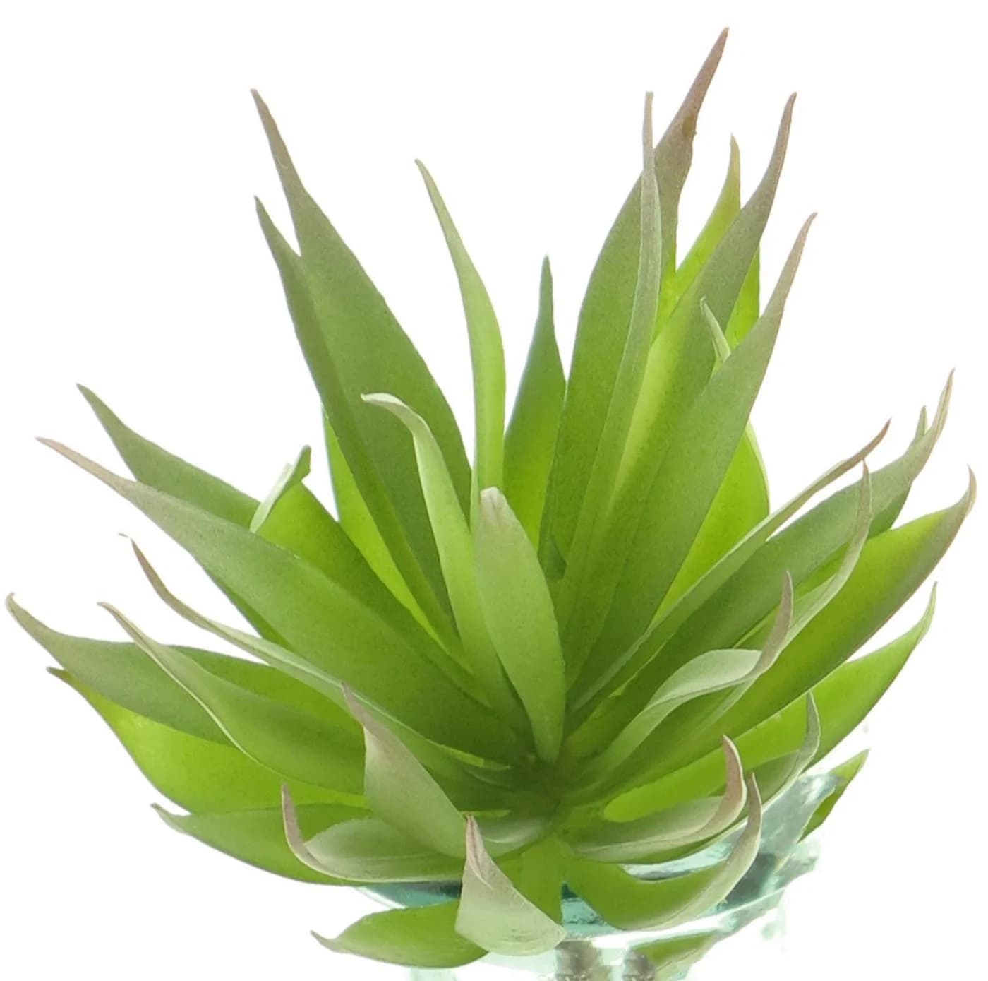 DEYUNA Kunst Sukkulente Agave decipiens auf Steckstab, grün, 18cm