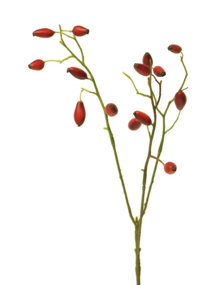 artplants Kunstzweig Heckenrose Rot 45 cm mit Hagebutten