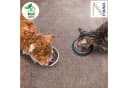 Nova Forma Bodenschutzmatte ECO-MAT Transparent PET für Teppichböden Bild 3
