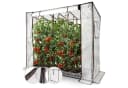 Arebos Tomatengewächshaus 200x77x170 cm mit 2 Netzfenstern & Rolltür Bild 2