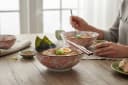 WestCraft Japan-Bowl ASIATICA Drachengott Edition Porzellan Bunt Bild 5