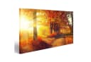 islandburner Leinwandbild Herbstpark Bunt 80x40cm Bild 2