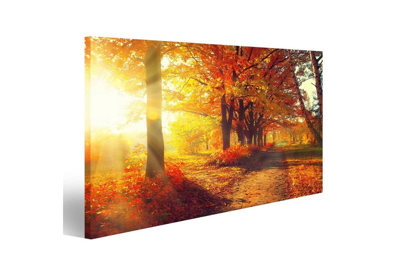 islandburner Leinwandbild Herbstpark Bunt 80x40cm - Bild 2