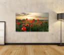 islandburner Leinwandbild Mohnblumen Sonnenuntergang Bunt Bild 1