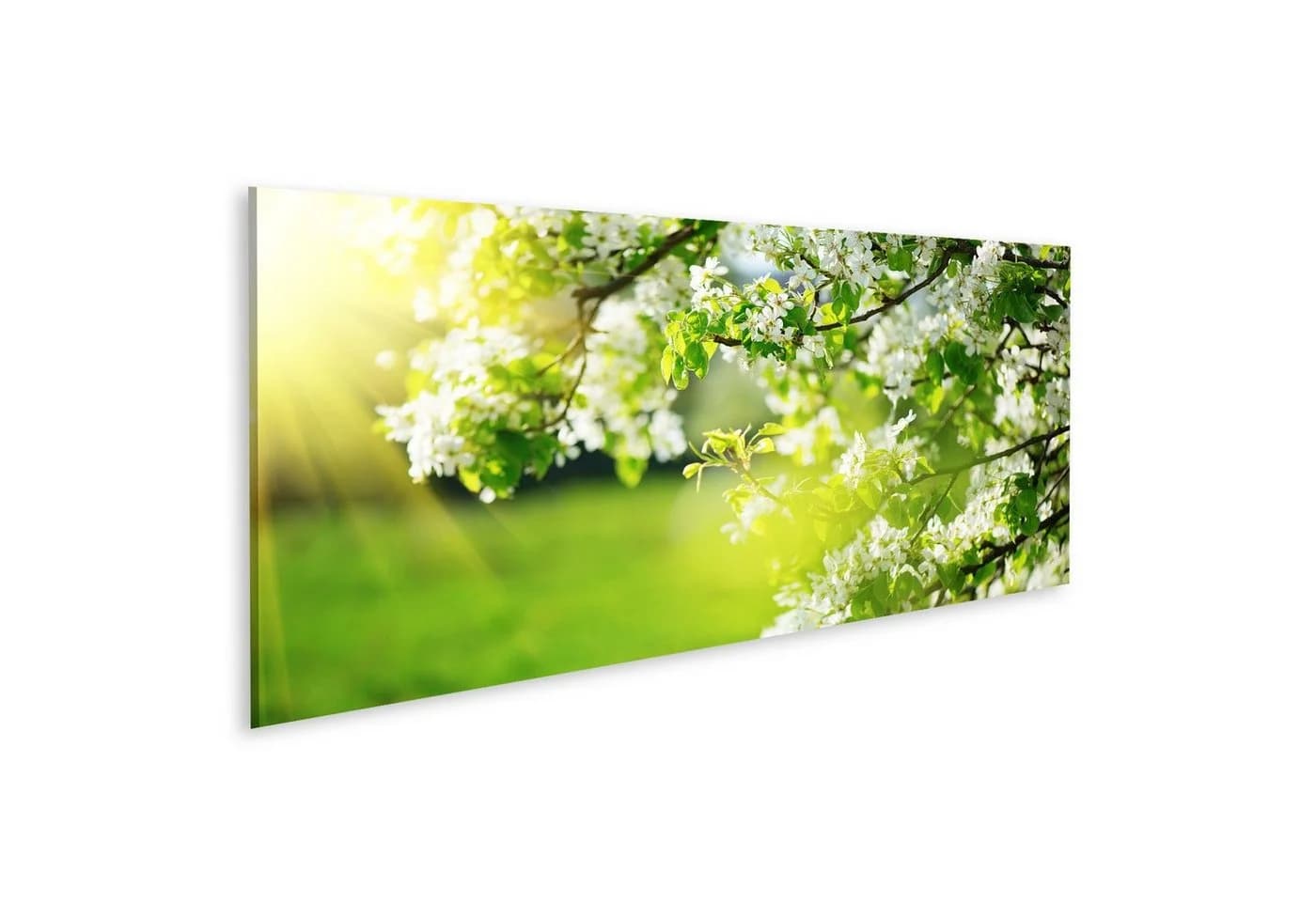 islandburner Leinwandbild Frühling Blüten Naturscene Bunt - Bild 2
