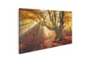 islandburner Leinwandbild Magischer Alter Baum Herbst Wald Nebel Bild 2