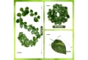 Ribelli Kunstgirlande 24 Stück Grüne Efeututeblätter DIY-Dekoration Bild 1
