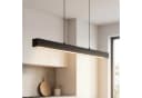 Licht-Erlebnisse Pendelleuchte RADLIN LED Schwarz Modern Bild 1