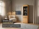 Massivart® Glasvitrine ARAYA Wildeiche geölt mit Glastür Bild 3