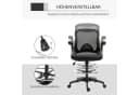 Vinsetto Ergonomischer Mesh Schreibtischstuhl Schwarz Höhenverstellbar Bild 4