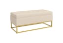 HOMCOM Sitzbank Truhenbank Beige mit Stauraum und Stahlbeine Bild 1