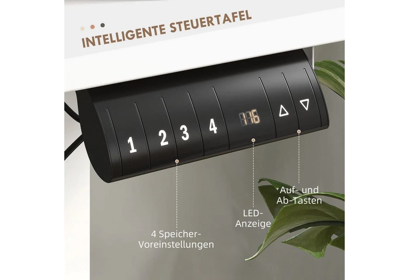 none - Bild 5