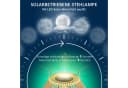 Outsunny LED Solarleuchte Rattan Gartenleuchte Gelb Bild 5