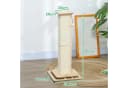 PawHut Kratzbaum mit Sisal, Drehschiene und Spielball, Eiche/Cremeweiß Bild 3