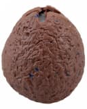 Horror-Shop Squishy Dinosaurier Ei mit Dino Anti Stress Ball Bild 1