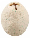 Horror-Shop Squishy Dinosaurier Ei mit Dino Anti Stress Ball Bild 4