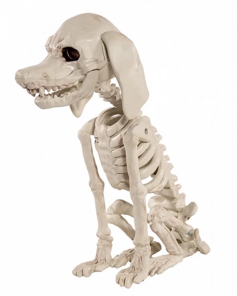 Horror-Shop Dekoobjekt Pudel Hundeskelett Halloween Dekoration - Bild 2