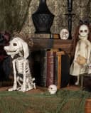 Horror-Shop Dekoobjekt Pudel Hundeskelett Halloween Dekoration Bild 3