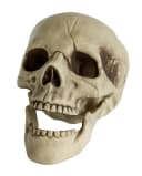 Horror-Shop Dekoobjekt Totenkopf mit beweglichem Kiefer 20cm Bild 2