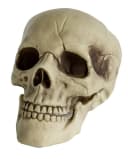 Horror-Shop Dekoobjekt Totenkopf mit beweglichem Kiefer 20cm Bild 4