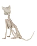 Horror-Shop Dekoobjekt Katzenskelett Halloween Deko 48cm Beige Bild 5