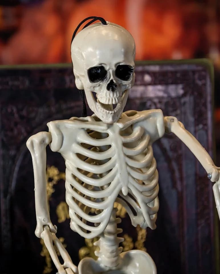 Horror-Shop Dekoobjekt Skelett Beige/Schwarz mit beweglichen Gelenken - Bild 5
