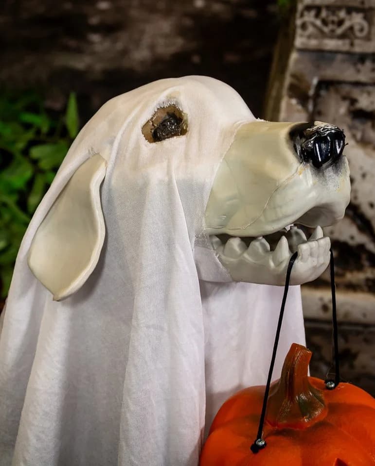 Halloween Skelett Geisterhund Deko mit leuchtendem Kürbis - Bild 4