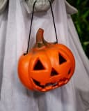 Halloween Skelett Geisterhund Deko mit leuchtendem Kürbis Bild 5