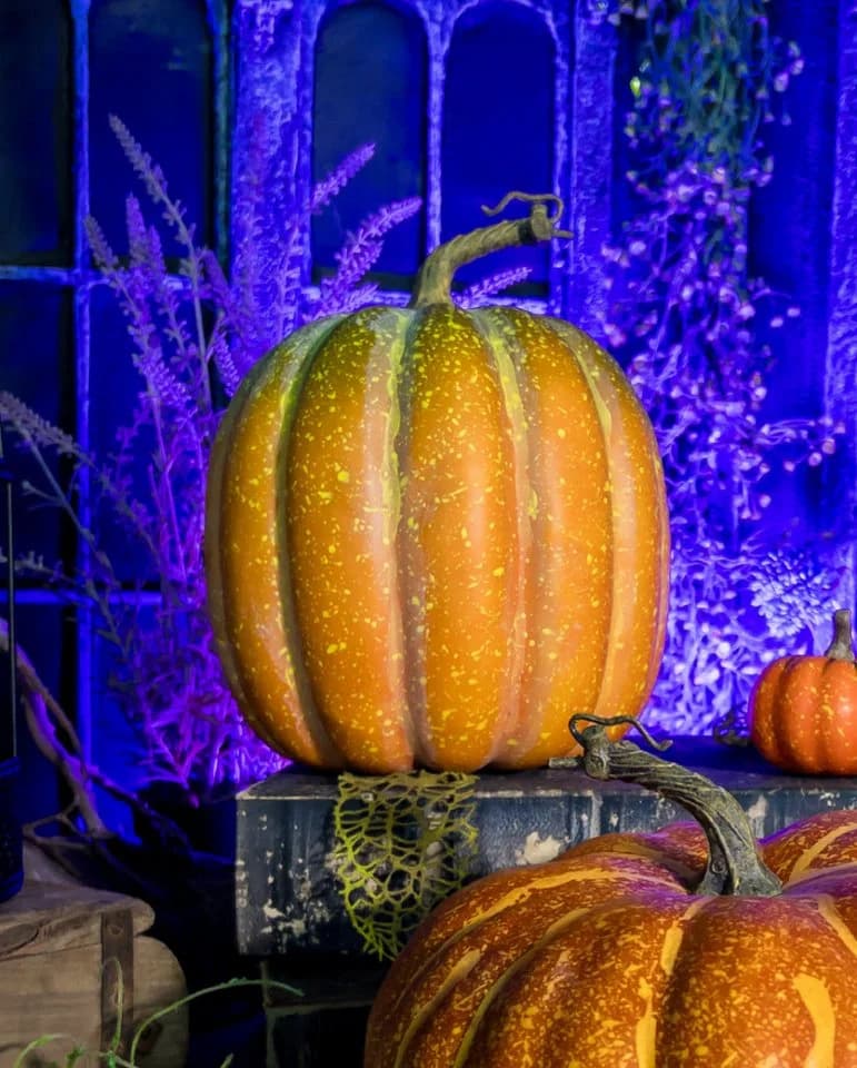 Horror-Shop Dekoobjekt Wirklichkeitsgetreuer Herbstkürbis mit Strunk