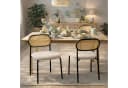 HAGO Esszimmerstuhl 2er Set Beige PE-Rattan Polyester Bild 2