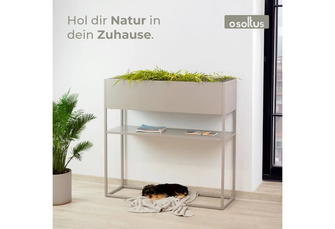 osoltus Raumteiler Pflanzkasten Warmgrey